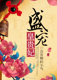 重生之盛宠皇贵妃